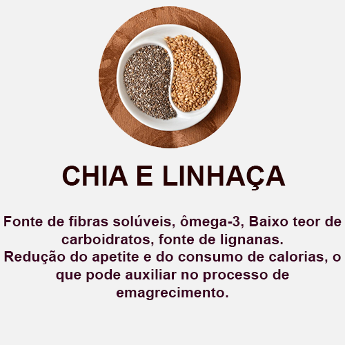 chia e linhaça edit